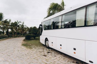 Beyaz veri yolu görünümünü yeşil bahçede Park.