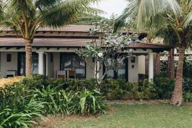 Küçük Asya rahat bungalow ve parlak yeşil bitkiler