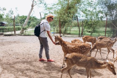 Geyikler dışında beslenme insan görünümü