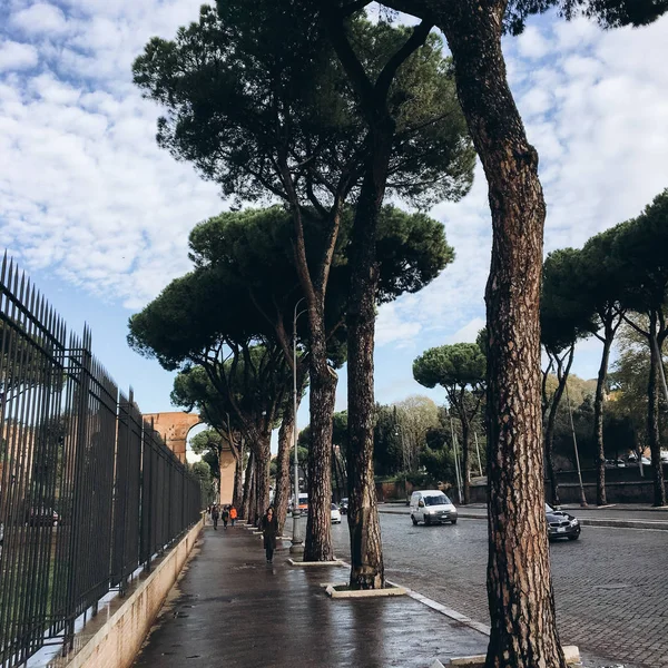 View Traffic Walking People Tropical Trees — Stock Photo, Image