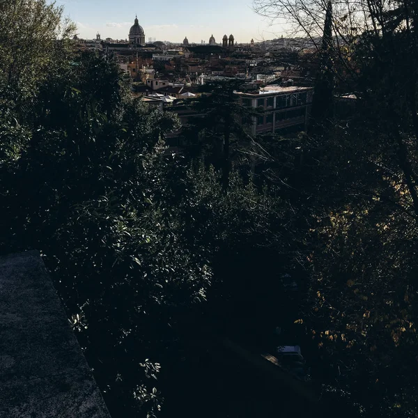 Uitzicht Oude Stad Met Gebouwen Bomen Groen — Stockfoto