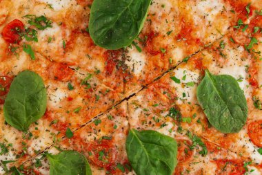 taze yapılmış pizza yakın