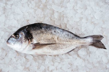 Çiğ balık dorado buz küpleri arka planda servis edilir