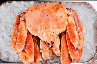 Buzlu arkaplanda servis edilen tam buharlı yengeç