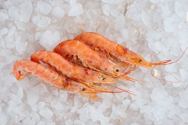 Buz küplerinde kaynamış karides.