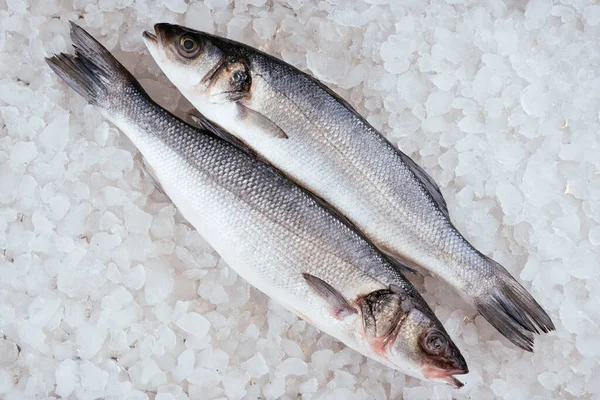 Buz küplerinde servis edilen çiğ balık ringası.