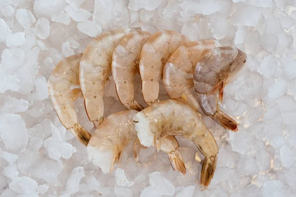 Crevettes Crues Sur Fond Glaçons — Photo