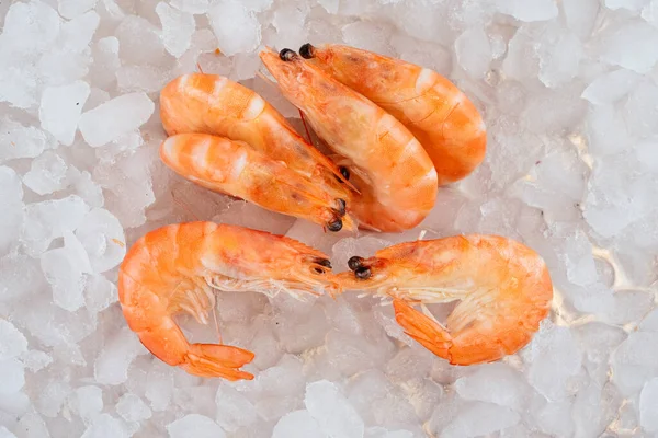 Crevettes Bouillies Sur Fond Glaçons — Photo