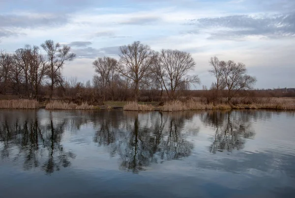 Spring landscape with the bank of river overgrown with trees, soft warm light, reflections in the water.