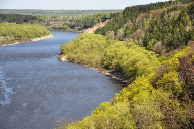 Spring landscape. Panoramic top view of the bend of a large river. Trees with young foliage grow along the banks 