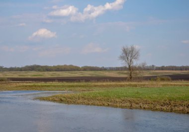 İnanılmaz rahatlatıcı yalnızlık ilkbahar manzarası nehir, tarlalar ve yalnız ağaçlar. Doğanın genişliği.