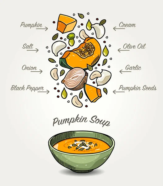 Ingredientes de sopa de abóbora vetorial —  Vetores de Stock