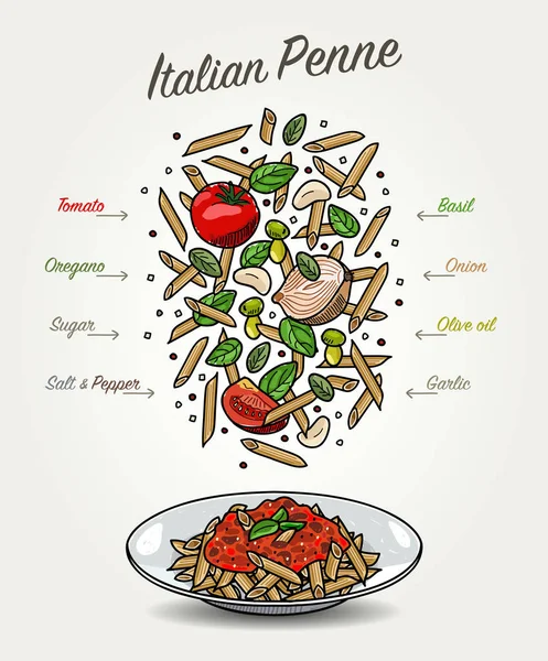 Vector Pasta Penne com molho de tomate em prato e ingredientes de queda —  Vetores de Stock