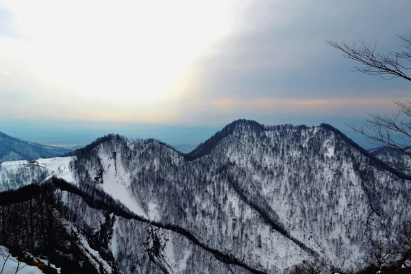 高い雪の山 黒帯の木 — ストック写真