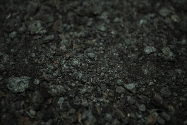 Zemine yakın çekim. Koyu kum. Toprak ve toprak. Kara toprak