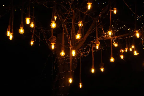 LED Lights çelenkleri bir ağaçta asılı gece. Gecenin sarı ışıkları altında. Noel ve Yeni Yıl dekorasyonu. Sarı ampuller. Sarı lambalar