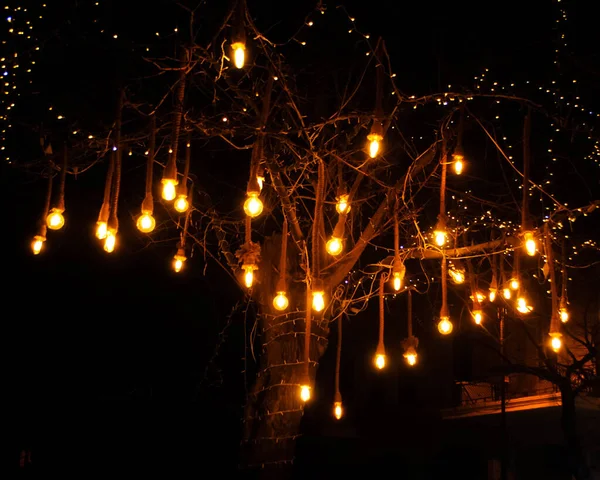 Led Světla Věnce Visí Stromě Noci Žlutá Světla Noci Vánoční — Stock fotografie