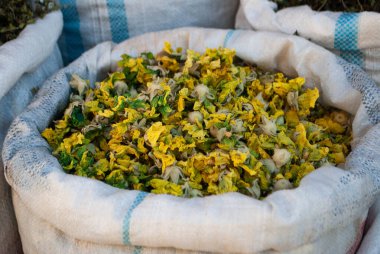 Althaea officinalis 'e yakın çekim, ya da köydeki yerel bir markette beyaz bir torbada marsh-mallow bitkisi. Kurutulmuş ot ve baharat dükkanı. Tıbbi tedavi için şifalı bitkiler. Azerbaycan 'ın köylerini keşfetmek