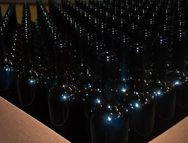 Close-up of bottles for wine in the wine factory. Wine bottles in the box in the winery. Empty wine bottles