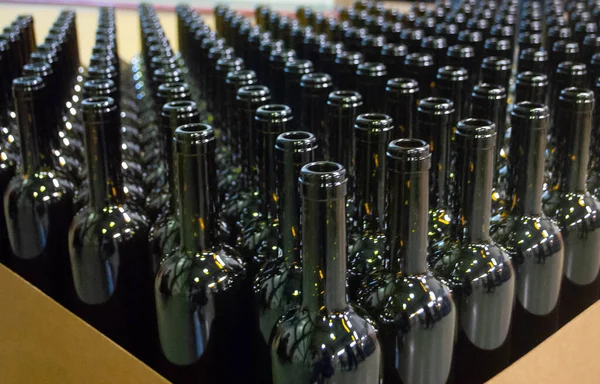 Close-up of bottles for wine in the wine factory. Wine bottles in the box in the winery. Empty wine bottles