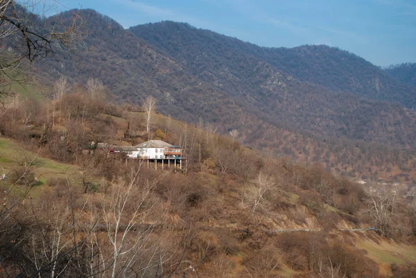 View on the house in the mountains. House in the forest in the mountains. Springtime. Bold trees.