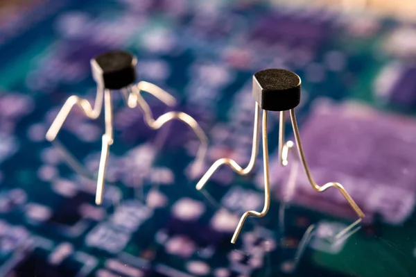 Close View Transistors Bug Virus — 스톡 사진