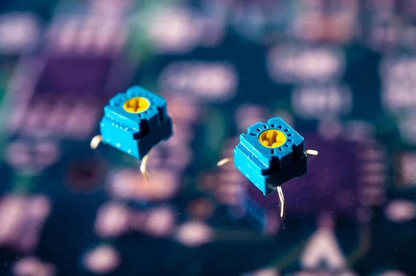 Close View Transistors Bug Virus — 스톡 사진