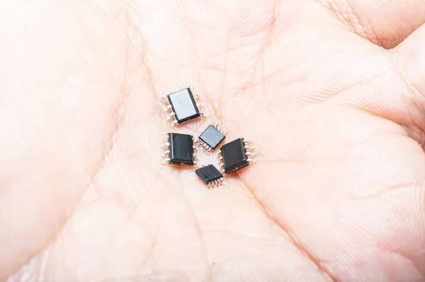 Vue Rapprochée Des Transistors Tant Que Bug Virus — Photo