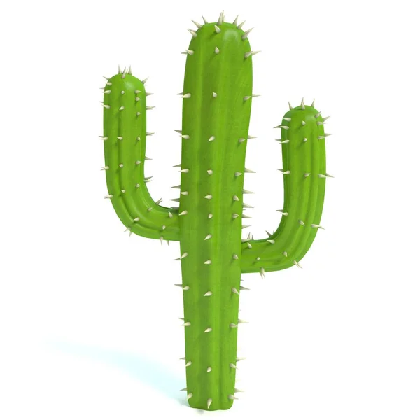 Çizgi film Cactus ağaç
