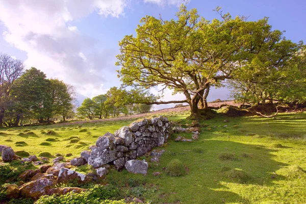 Vista da paisagem inglesa — Fotografia de Stock