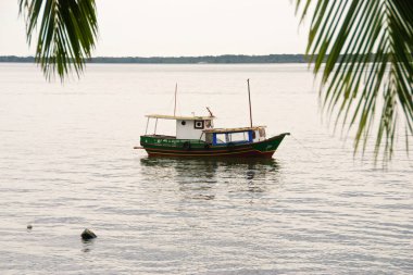 Nehre demirlemiş tekneler, limanda huzur içinde yüzüyorlar.