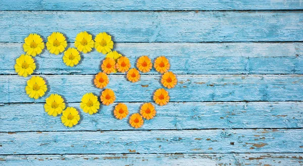 Çiçek kolajı. Tahta bir arka planda iki çiçek kalbi.