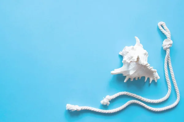 White large shell and rope on blue background