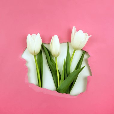 İçinde beyaz laleler olan pembe renkli kağıt bir delik.