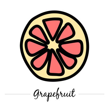 Grapefruit. Isolated on white. Vector
