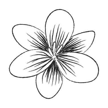 Bahar çiçeği. El çizimi karalama elementi. - vektör