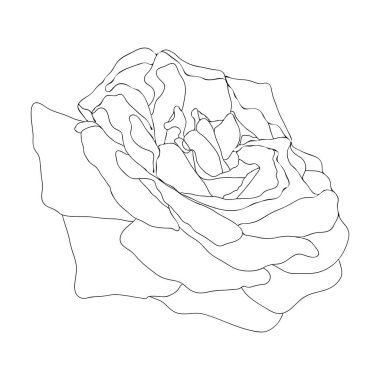 Bahar çiçeği. El çizimi karalama elementi. - vektör