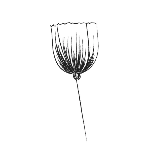 Fleur Printemps Élément Gribouillé Dessiné Main Vecteur — Image vectorielle