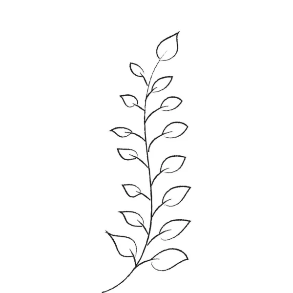 Frühlingsblume Handgezeichnetes Kritzelelement Vektor — Stockvektor