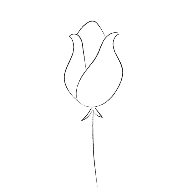 Fleur Printemps Élément Gribouillé Dessiné Main Vecteur — Image vectorielle