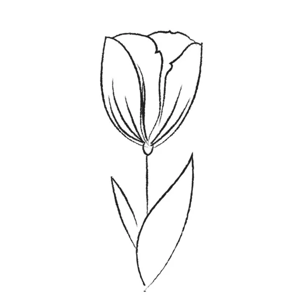 Весенний Цветок Ручное Рисование Каракулей Вектор — стоковый вектор