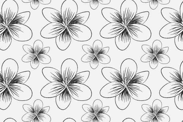 Patrón Sin Costura Floral Dibujado Mano Ilustración —  Fotos de Stock