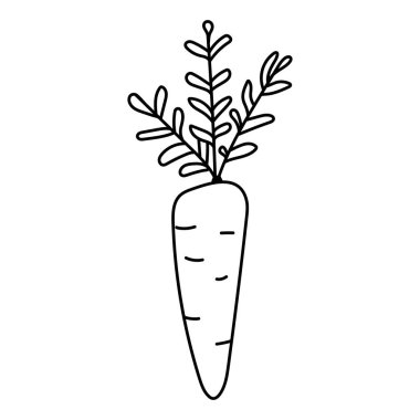 El çizimi vektör ögesi - havuç - vektör illüstrasyonu