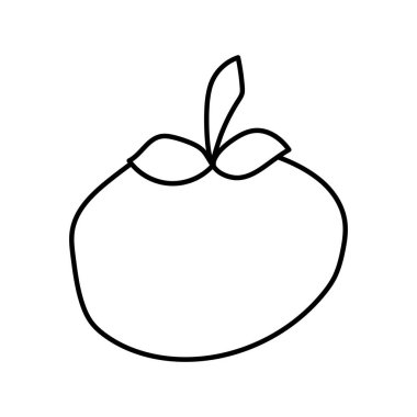 El çizimi vektör ögesi - domates - vektör illüstrasyonu