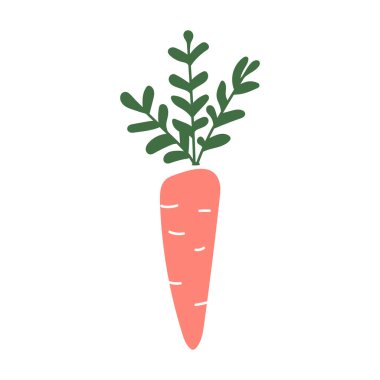 El çizimi vektör ögesi - havuç - vektör illüstrasyonu