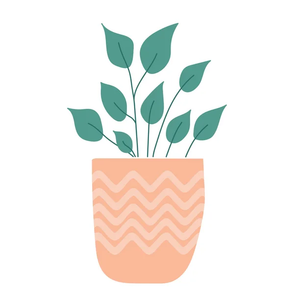Cute Modern Hand Drawn Plant Pot Isolated Vector Illustration — Stock Vector