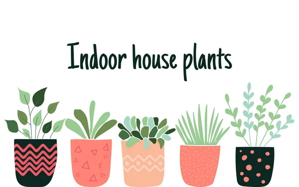 Set de macetas dibujadas a mano con cotización: Plantas de interior. - vector — Vector de stock