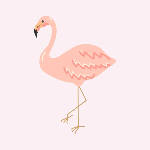 Flamingo Flamenco Dibujado Mano Aislado Rosa Ilustración Vectorial — Vector de stock