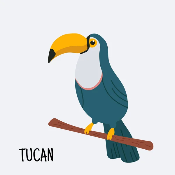 Illustration Colorée Toucan Mignon Assis Sur Une Branche Illustration Vectorielle — Image vectorielle