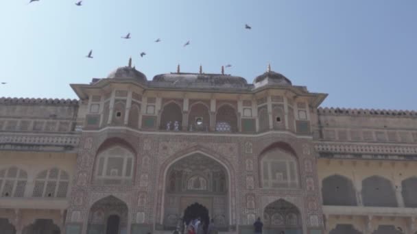 Amer Fort Jaipur Rajasthan Arquitetura Índia — Vídeo de Stock